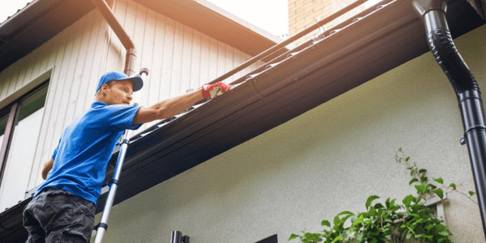 Spring Home Maintenance Projects for Your Louisville Home