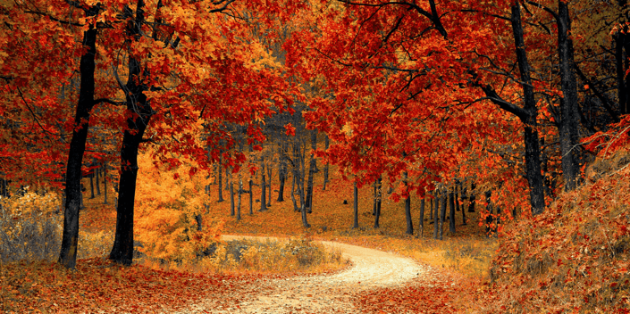 Best Fall Getaways in Louisville