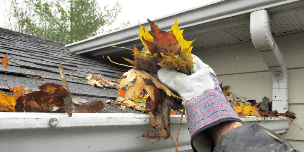 6 Reasons You Should Clean Your Gutters